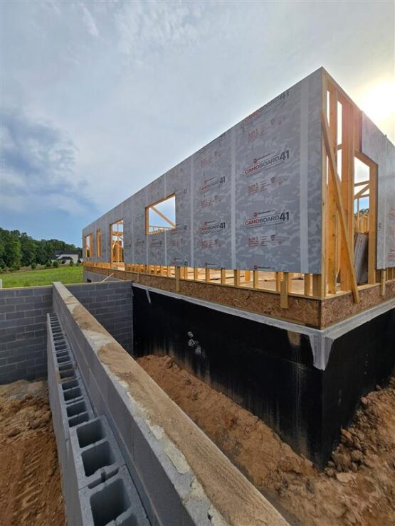 11d5c397-7603-4443-b709-0a8c2e475f57